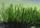 Optigrass LSR 60-15 MF 