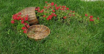 Классификация по методу устройства
